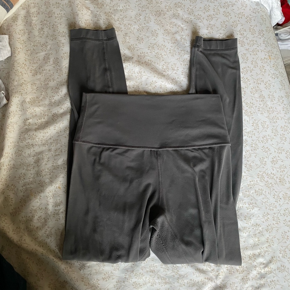 Lulu Gray Aligns